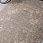 Ковровая Дорожка LIMAN F481 BEIGE